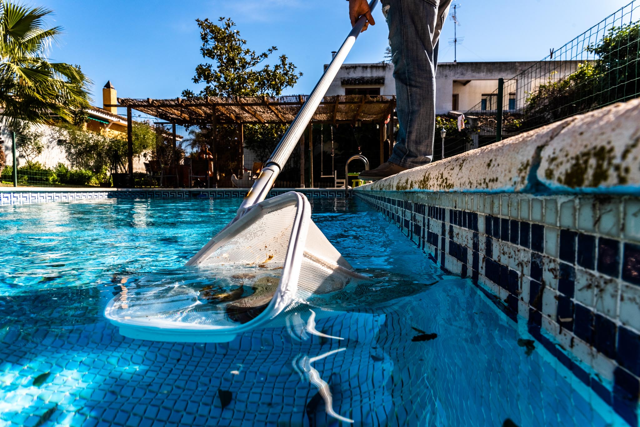 Pool Net Leaf Skimmer Rake in summer.